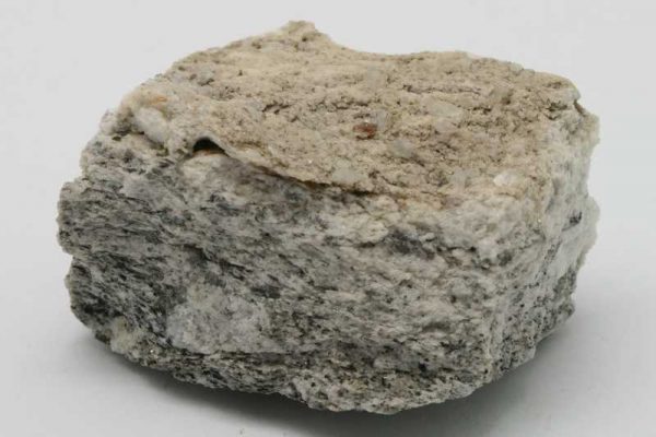 Xenotim
