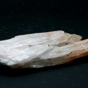 Celestýn
