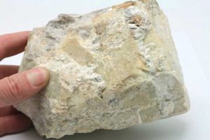 Beryl