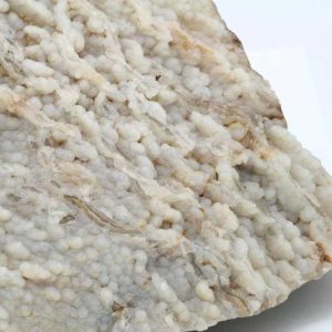 Chalcedon