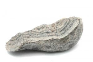 Allemontit