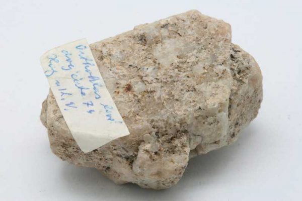 Ortoklas (karlovarské dvojče)