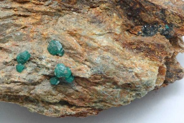 Euchroit