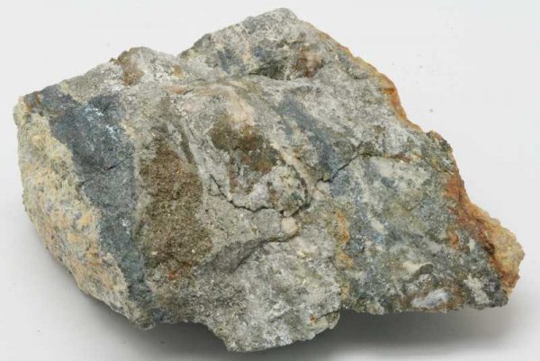 Scainiit