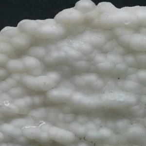Chalcedon