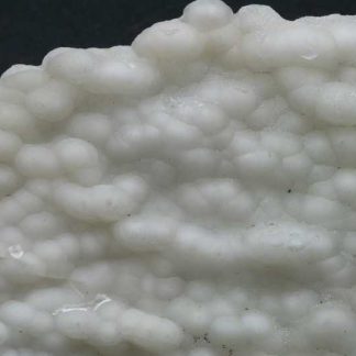 Chalcedon