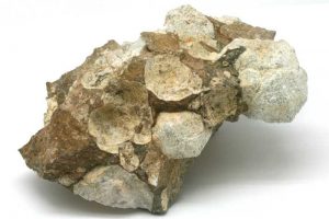 Pseudoleucit