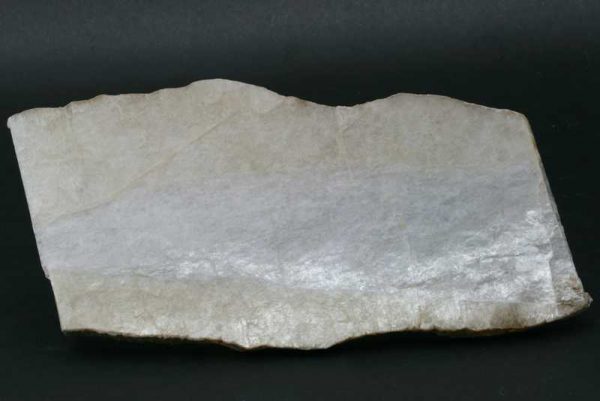 Sádrovec