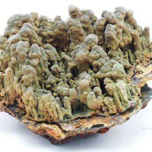 Mottramit