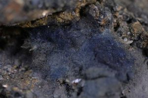 Plumosit (boulangerit), ankerit, arsenopyrit, marmatit (Fe-sfalerit)