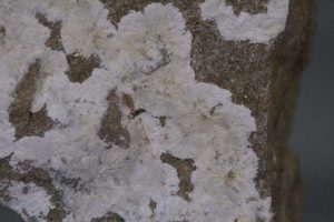 Alumohydrokalcit
