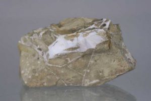 Skolecit