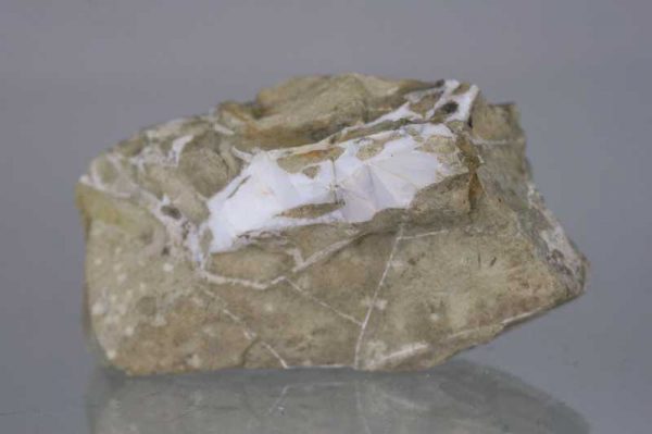 Skolecit