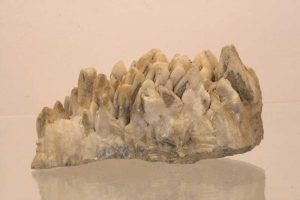 Kalcit, pyrit