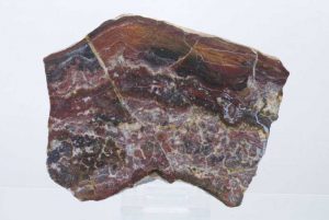 Železitý křemen se stromatolity