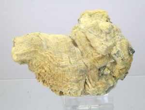 Halotrichit