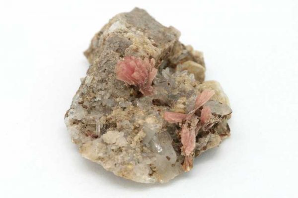Inesit - Image 2