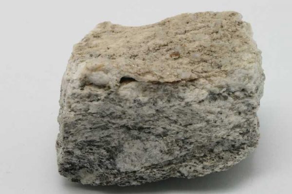 Xenotim - Image 2