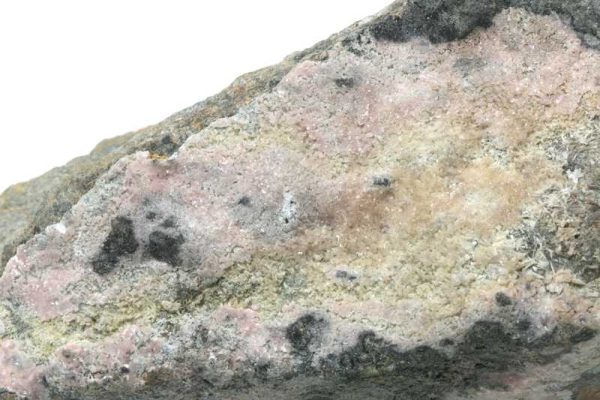 Köttigit – Bild 2