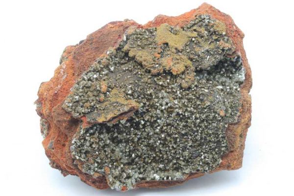 Adamin - Image 2