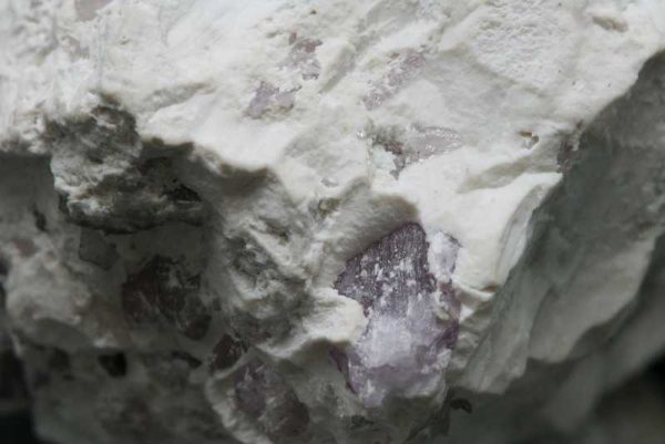 Diaspor, dillnit – Bild 2
