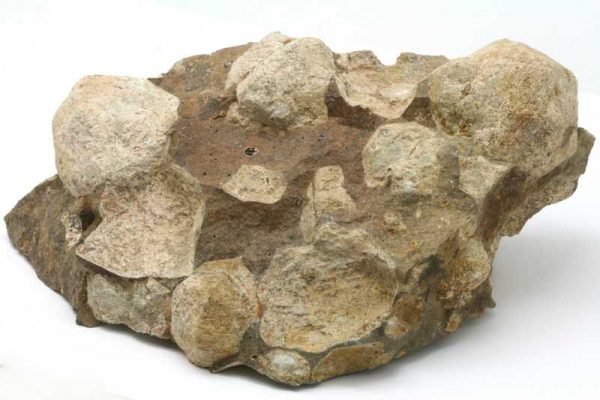 Pseudoleucit - Image 2