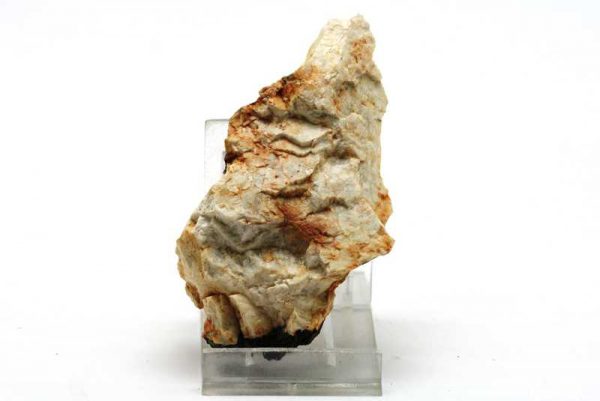 Beryl - Image 2