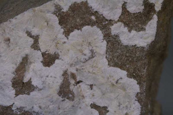 Alumohydrokalcit - Image 2