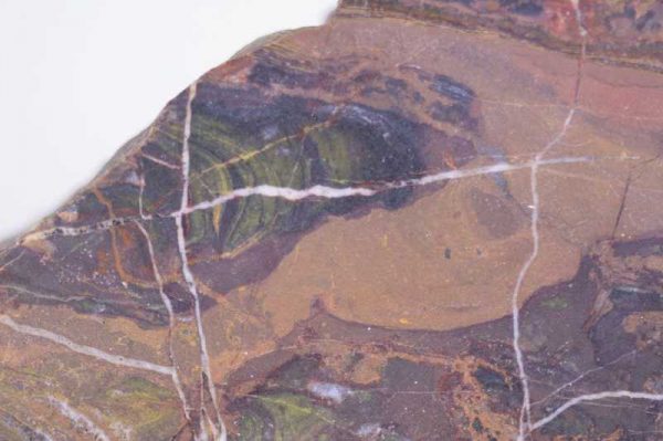 Železitý křemen se stromatolity – Bild 2