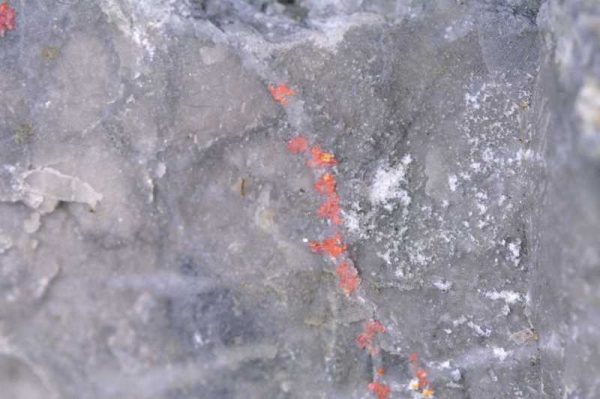 Realgar, kalcit - Image 2