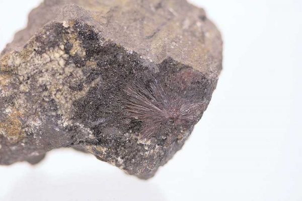 Kermezit - Image 2