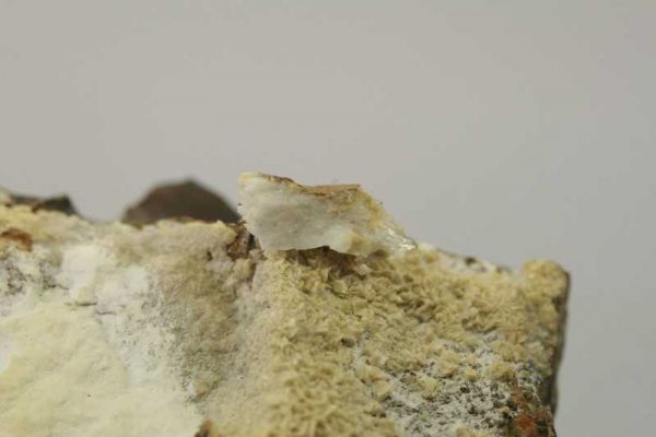 Whewellit - Image 2