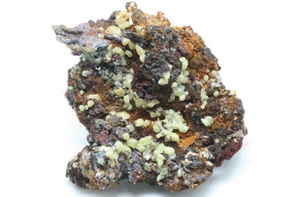 Adamin - Image 3