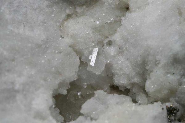 Uvit - Image 3