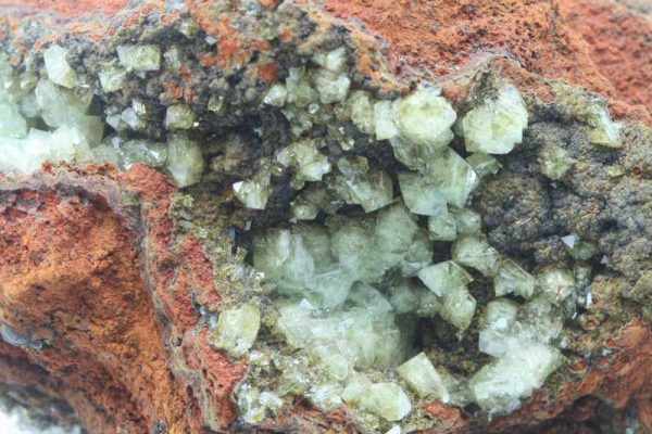 Adamin - Image 3