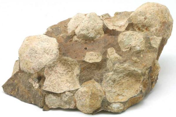 Pseudoleucit - Image 3