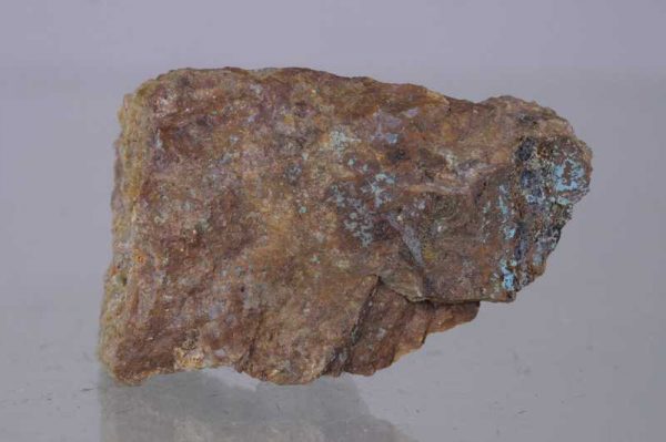 Camerolait - Image 3