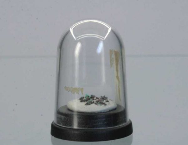 Piypit - Image 3