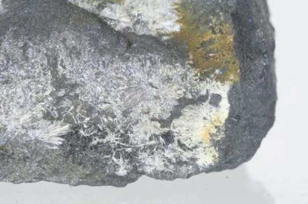 Valentinit – Bild 3