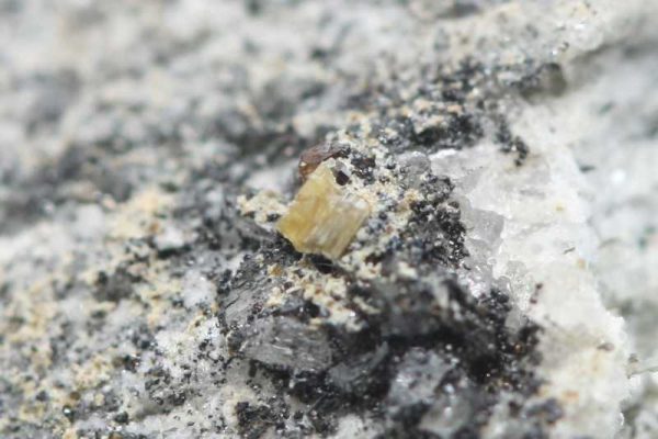 Synchysit - Image 3