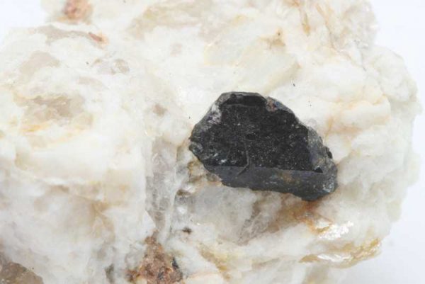 Ferrotapiolit - Image 4