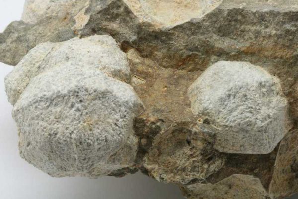 Pseudoleucit - Image 4