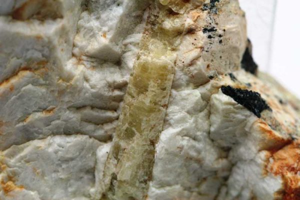 Beryl - Image 4