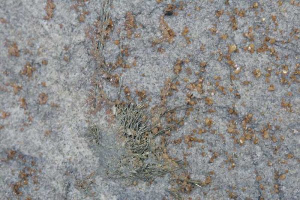 Millerit - Image 4