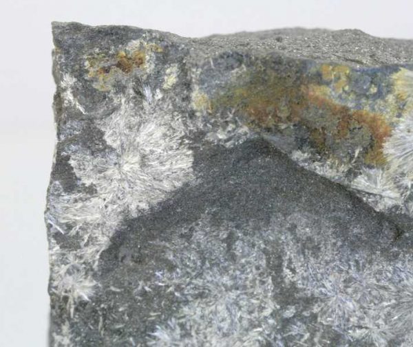 Valentinit – Bild 4