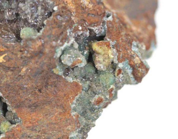 Adamin - Image 4