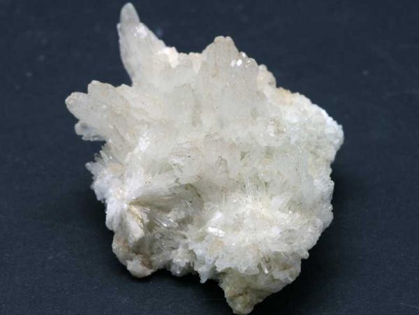 Celestýn - Image 4