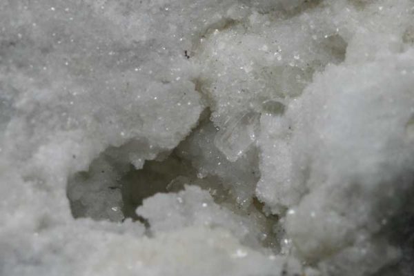 Uvit - Image 4