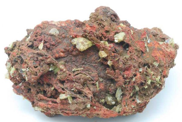 Adamin - Image 6