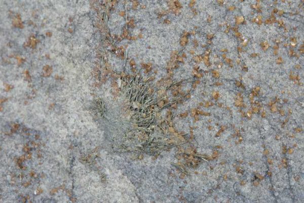 Millerit - Image 6